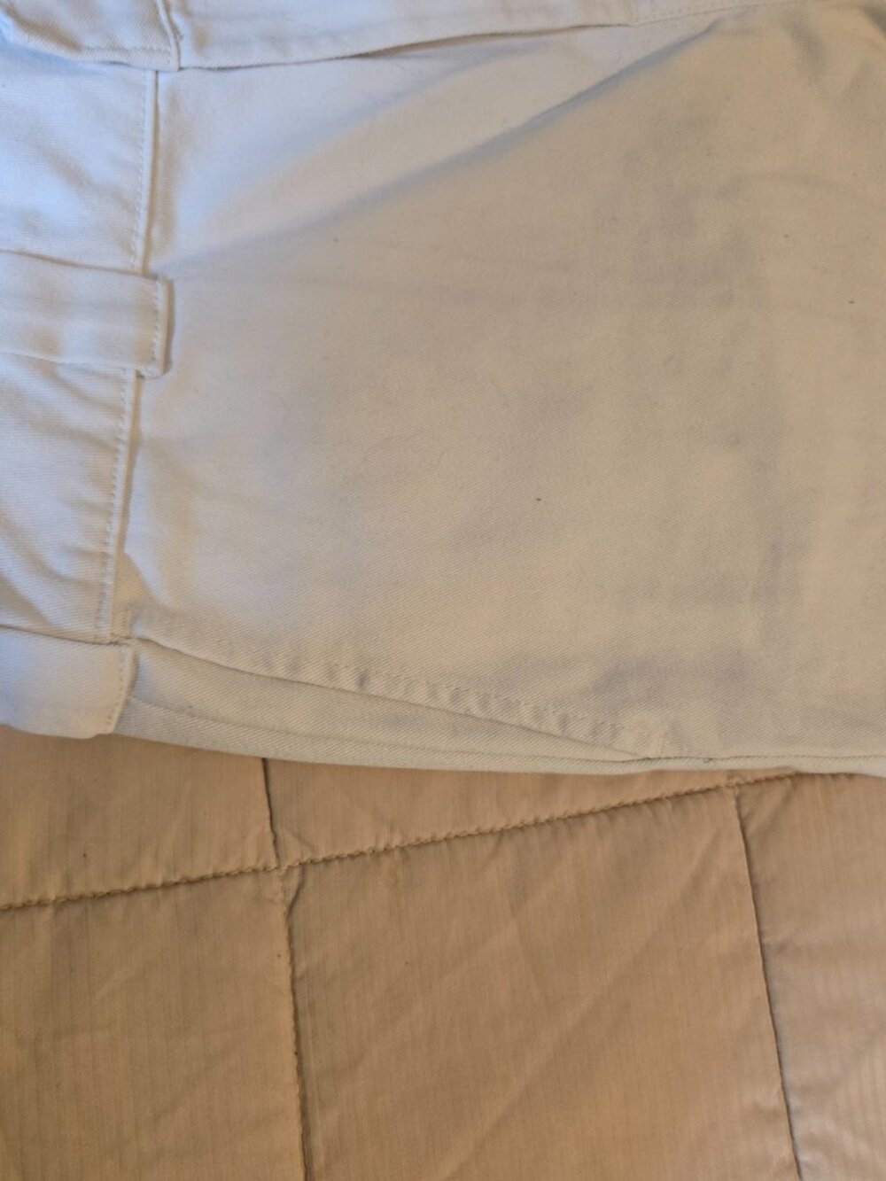Dickies - Picture 5 of 6